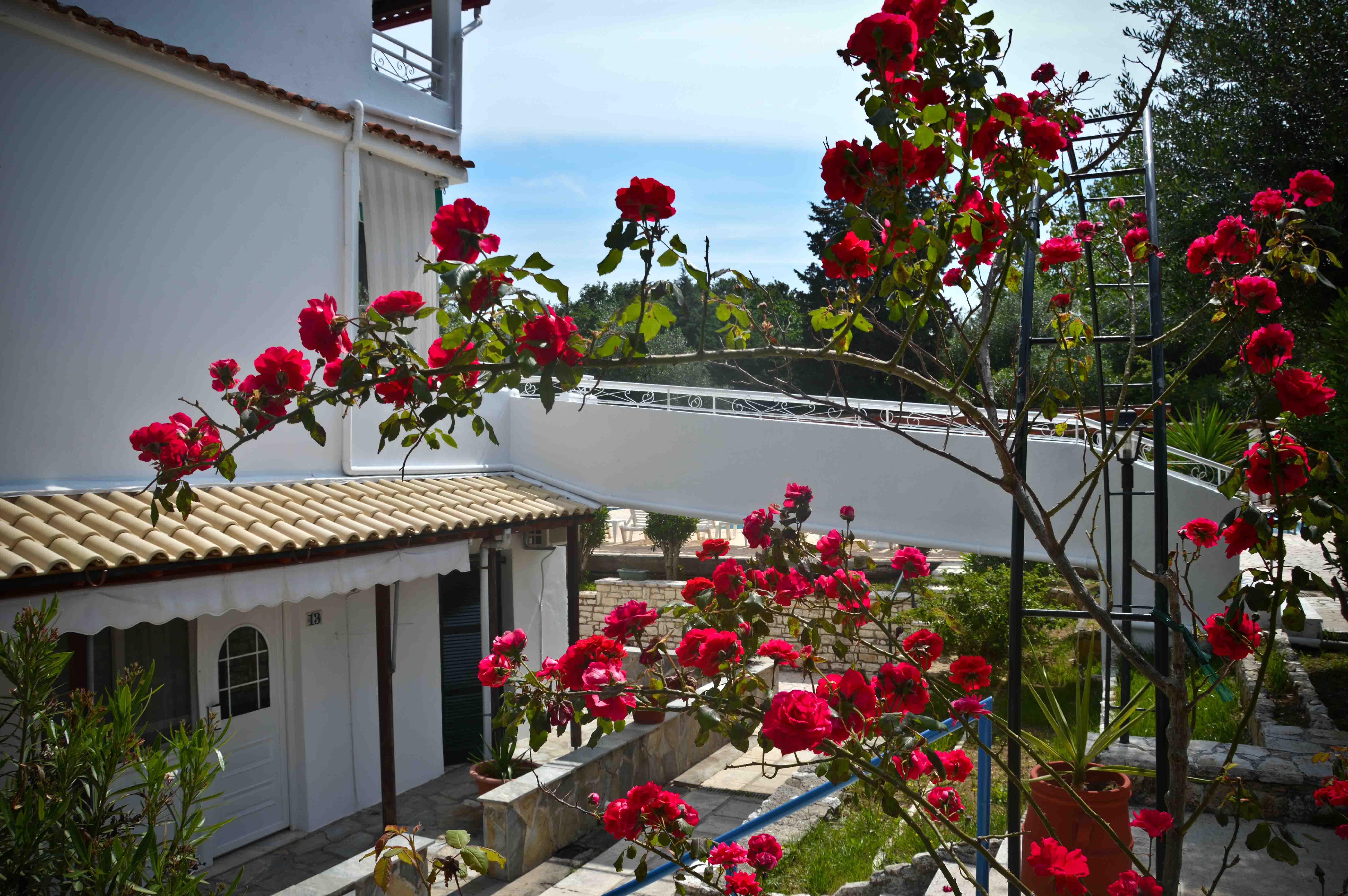 Katia Beach Hotel Kassiopi Exterior foto